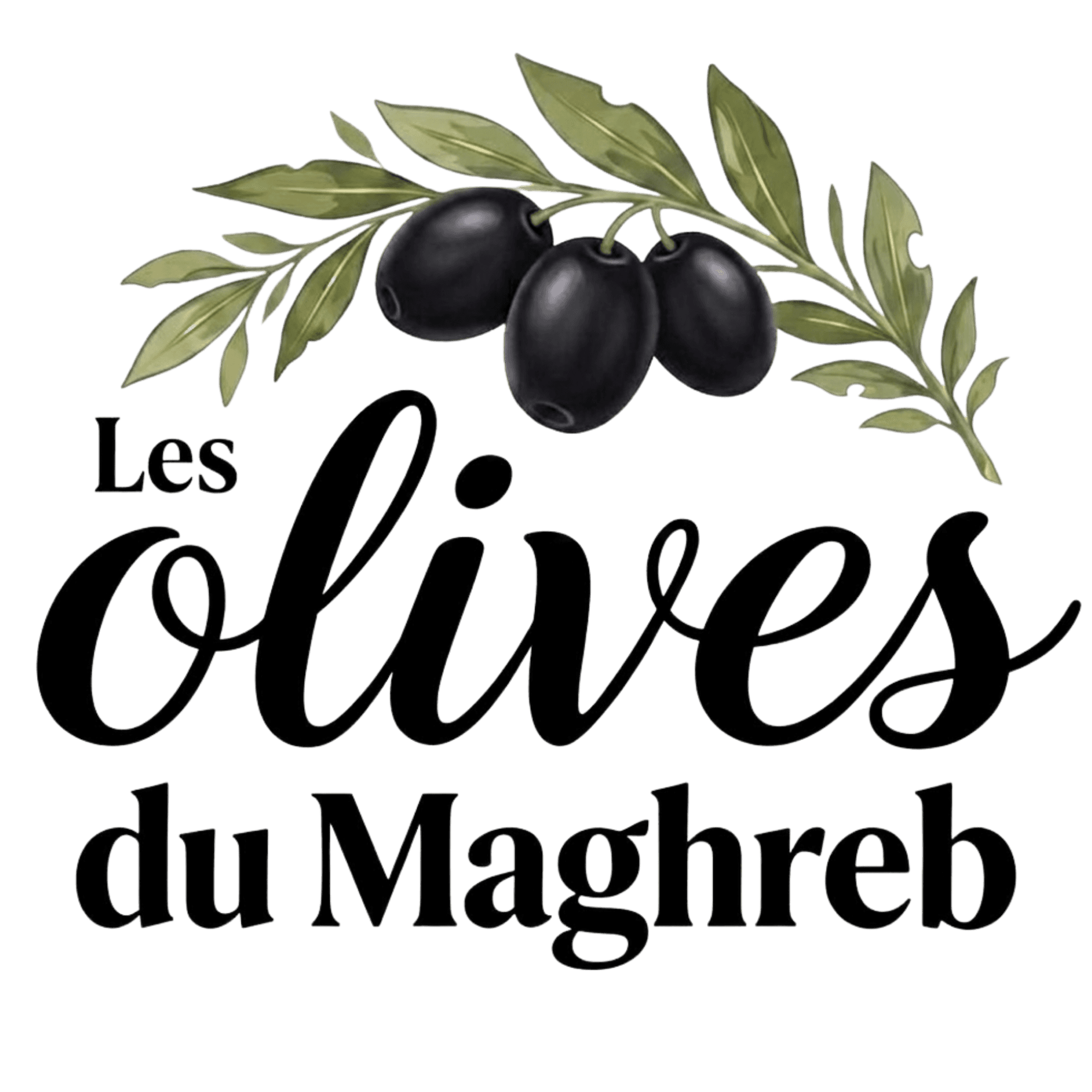 Les Olives du Maghreb